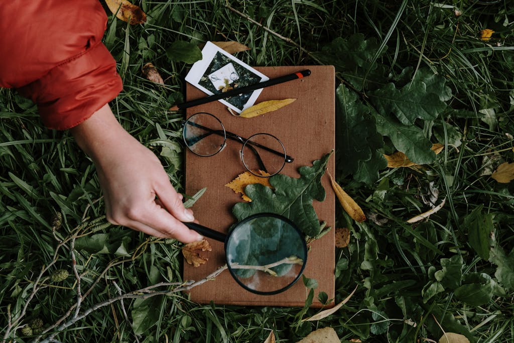 A hand examines leaves with a magnifier on grass. Eyeglasses and polaroid complete the scene.